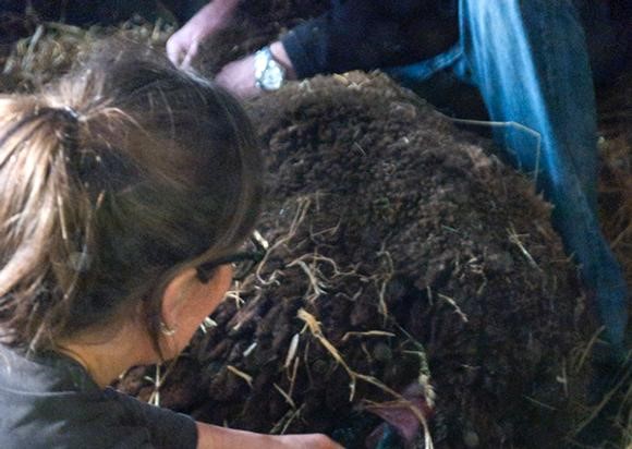 aflammeren schaap pootjes en marianne.jpg