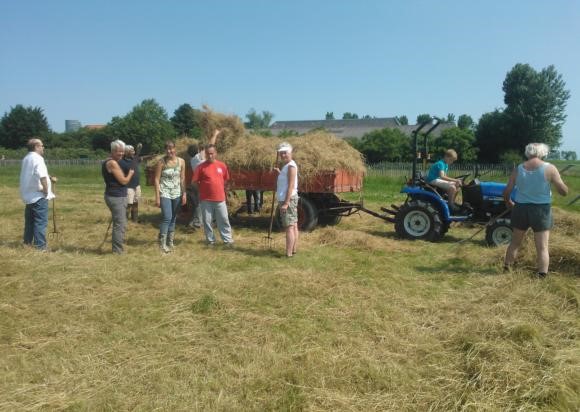 2013-07-09 11.39.21.jpg