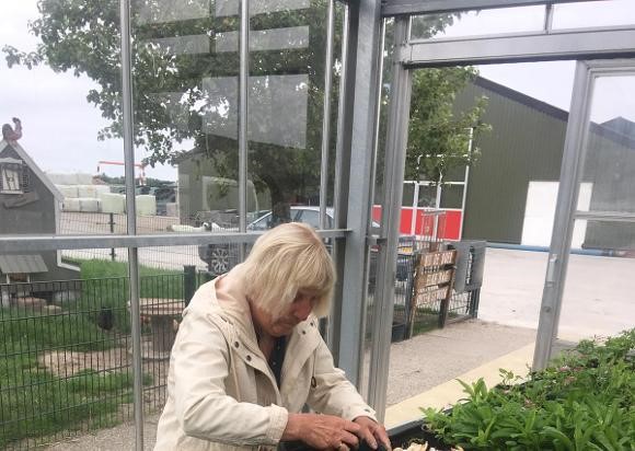 2-in-de-kas-aan-het-werk-18-12-2019-09EB621F-C8DB-493C-B0058A0614BEF41C.jpg