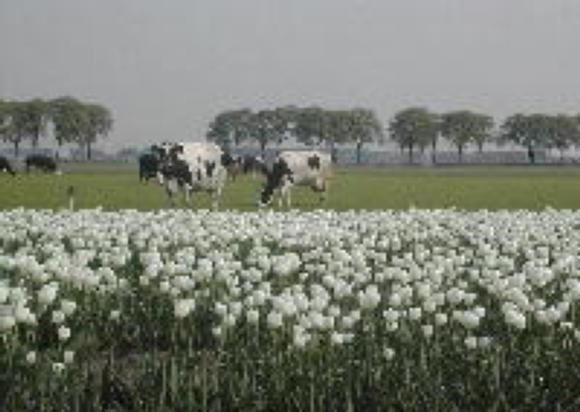 afbeelding220.jpg