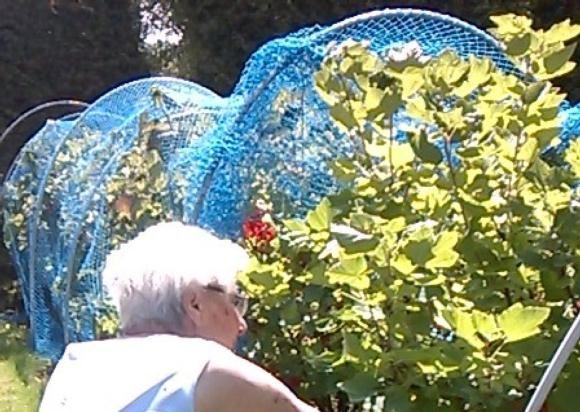 WP_20170706_005.jpg