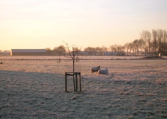 DSCN2780.JPG