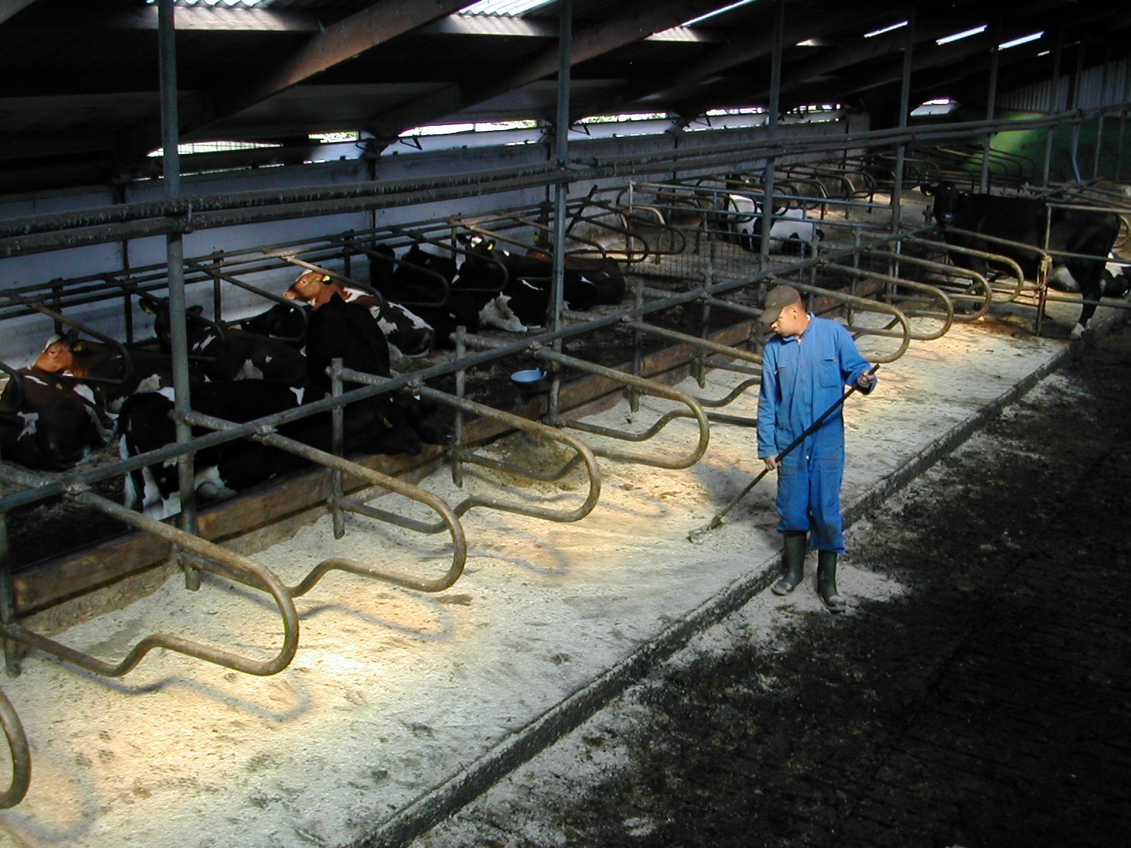 sfeer stal met deelenerm