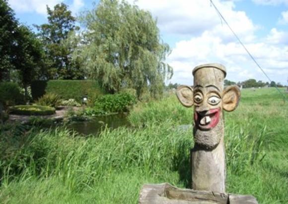foto116.jpg