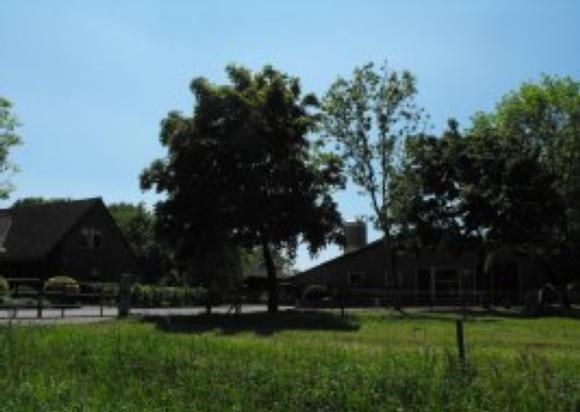 foto18.jpg