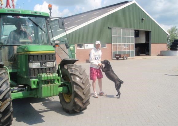 De Mijzenhoeve 6.JPG