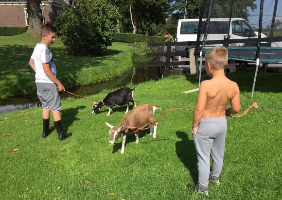 geitjes-zorgboerderij-16-12-2019-CBA9ED8B-E9ED-4106-8F6B608AE4F750EE.jpg
