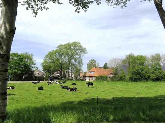 142d-van-tienhoven-hoeve-11-05-2012-15-11-2021-FB4EF12F-29F4-433E-83698F5A7E7220D7.JPG