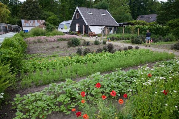 2106-134a3687-land-en-boschzigt-kl-13-06-2022-186ED4D2-08D7-4ED5-B8656154710C9D37.jpg