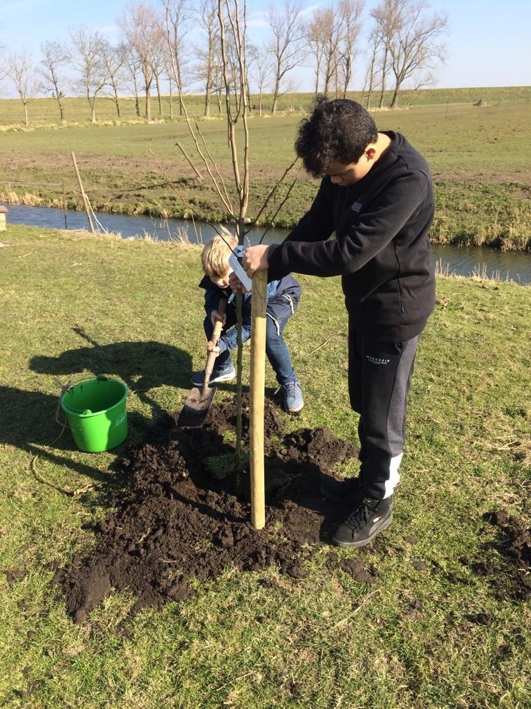 boom planten op zorgboerderij Oostwijk