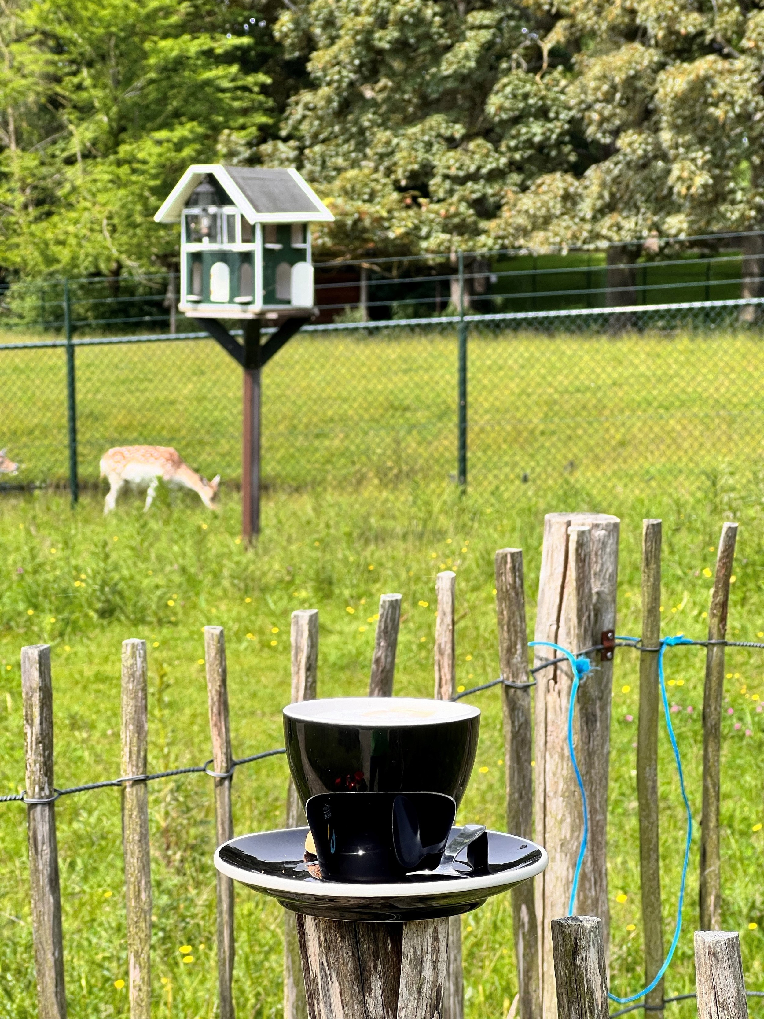 Hertenkamp 4.jpg