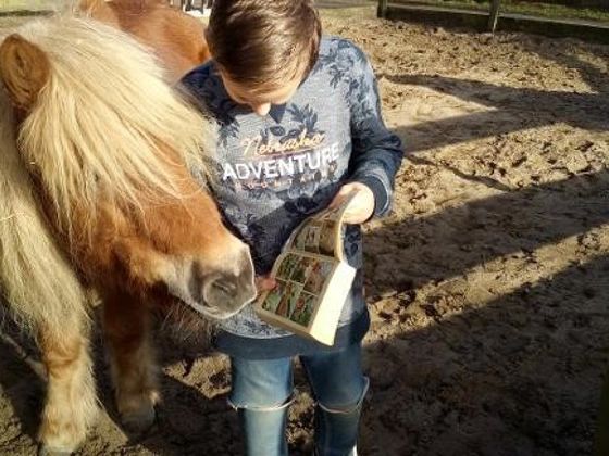 Pony Boek
