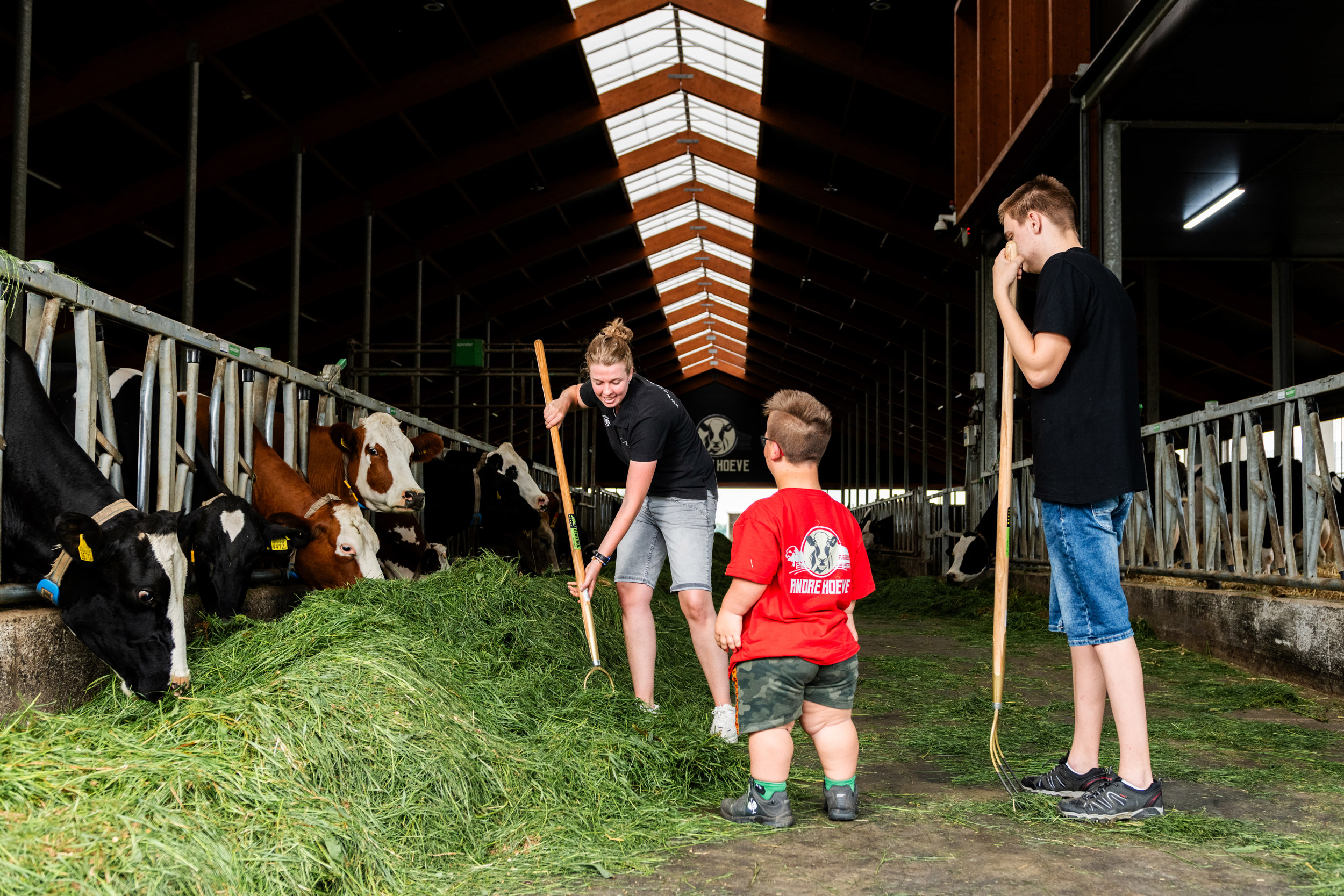 Activiteiten Zorgboerderij
